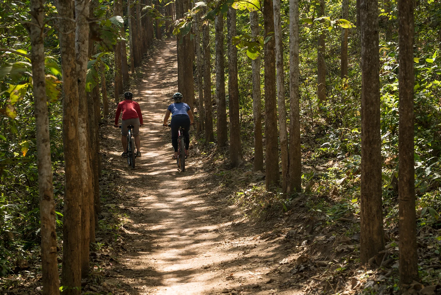 NORTHEAST LAOS CYCLING LOOP: THE MYSTERIOUS HOUAPHAN 6 DAYS